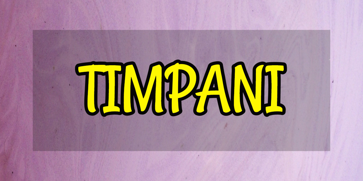 Learning the Basics about the Timpani Band Buzz