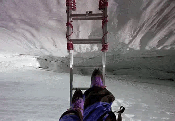 daily_gifdump_3471_15.gif