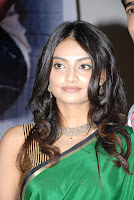 Its My Love Story Movie Audio Launch