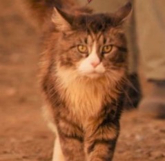 From Annandale And Avalon To Anarchy The Pilbara Wanderer 1971