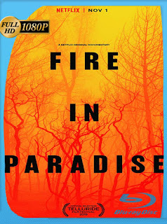 Fire in Paradise (2019) HD [1080p] Latino [Google Drive] Panchirulo