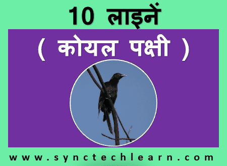 10 lines on cuckoo in hindi
