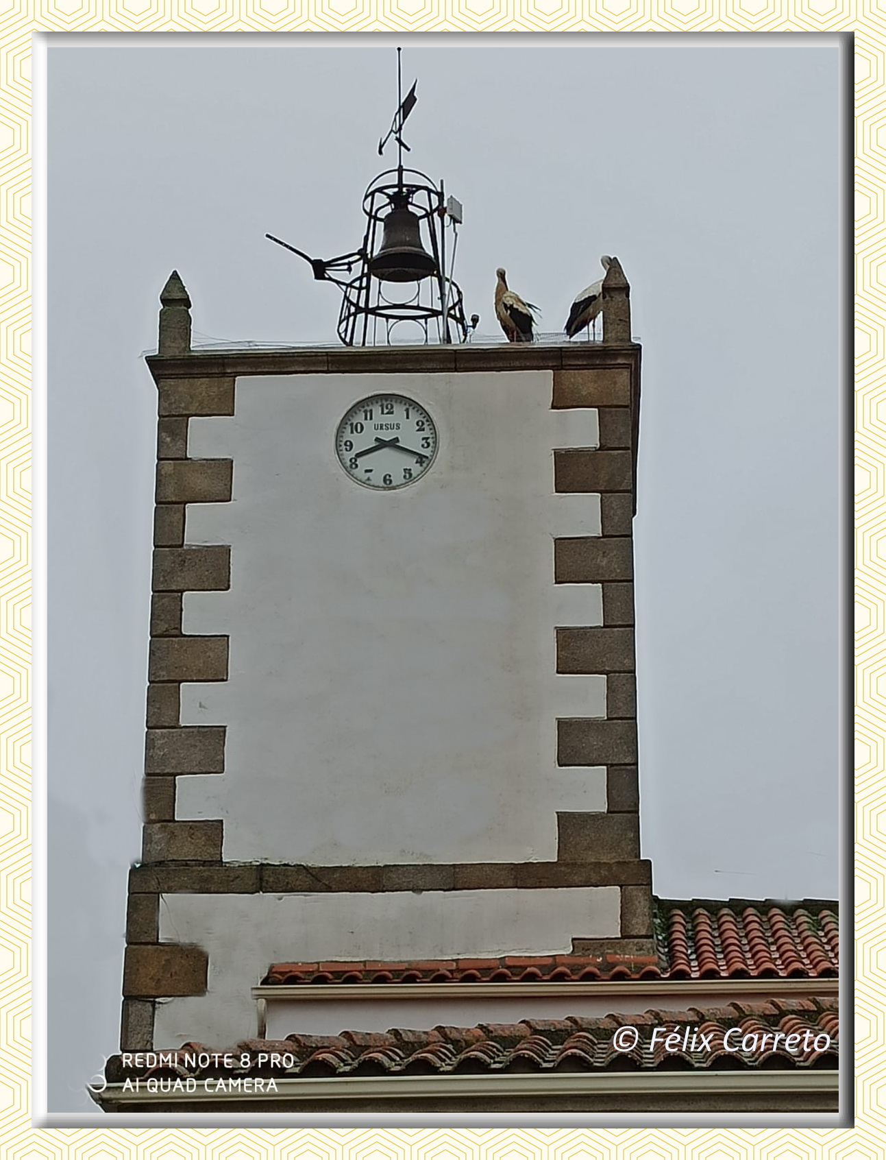 La Zarza Online Llegaron a La Zarza