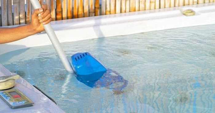 pool vacuum for leaves