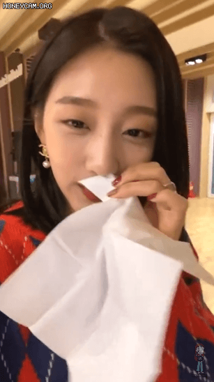 코 M는 고라니 정예인