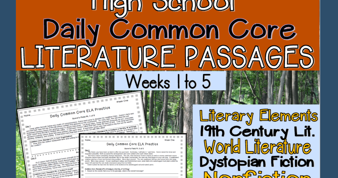 literacy-math-ideas-daily-common-core-high-school-level-practice