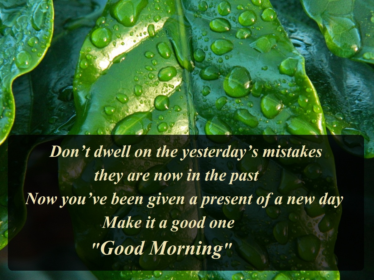 Download Top Best Good Morning Message With Images - Kuch Khas Tech