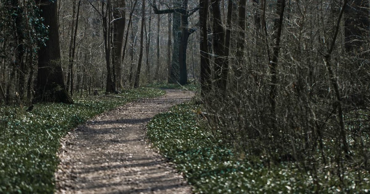 Gedichte Unter Der Laterne Fruhling Auf Vorschuss