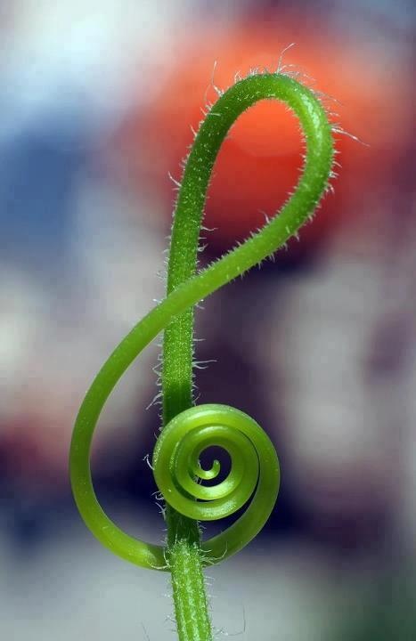 tica tica música ¡plas!: Nana de Brahms a nuestra manera