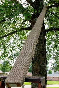 Image of carpet-covered 2x4 ramp in tree Image of carpet-covered 2x4 ramp in tree
