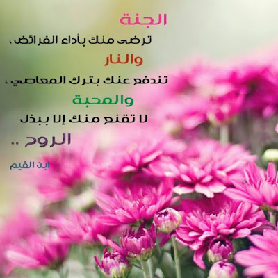 %25D8%25B1%25D9%2585%25D8%25B2%25D9%258A%25D8%25A7%25D8%25AA%2B%25D8%25B9%25D9%2586%2B%25D8%25A7%25D9%2584%25D8%25AD%25D9%258A%25D8%25A7%25D9%2587%2B%25D8%25AC%25D9%2585%25D9%258A%25D9%2584%25D8%25A9%2B%2B%25D9%2585%25D8%25AF%25D9%2588%25D9%2586%25D8%25A9%2B%25D8%25A3%25D8%25B3%25D8%25AF%2Bblog%2Blion%2B%252829%2529