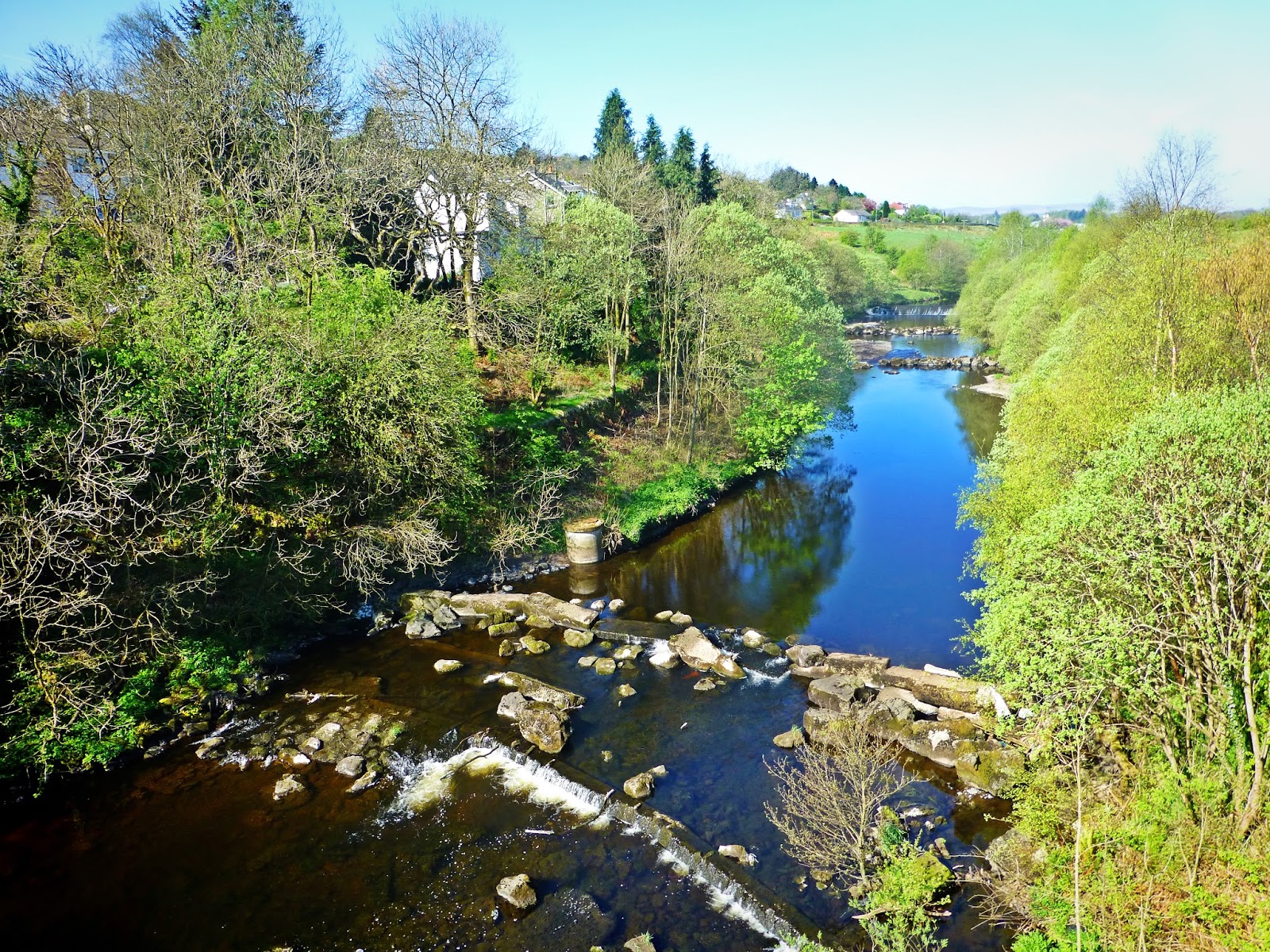 Adventures of the Early Ooters Some images from the Bridge of Weir walk