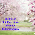 150+ [Top Class] Spring Status, Captions & Quotes [ 2021 ] For A Spring Lover