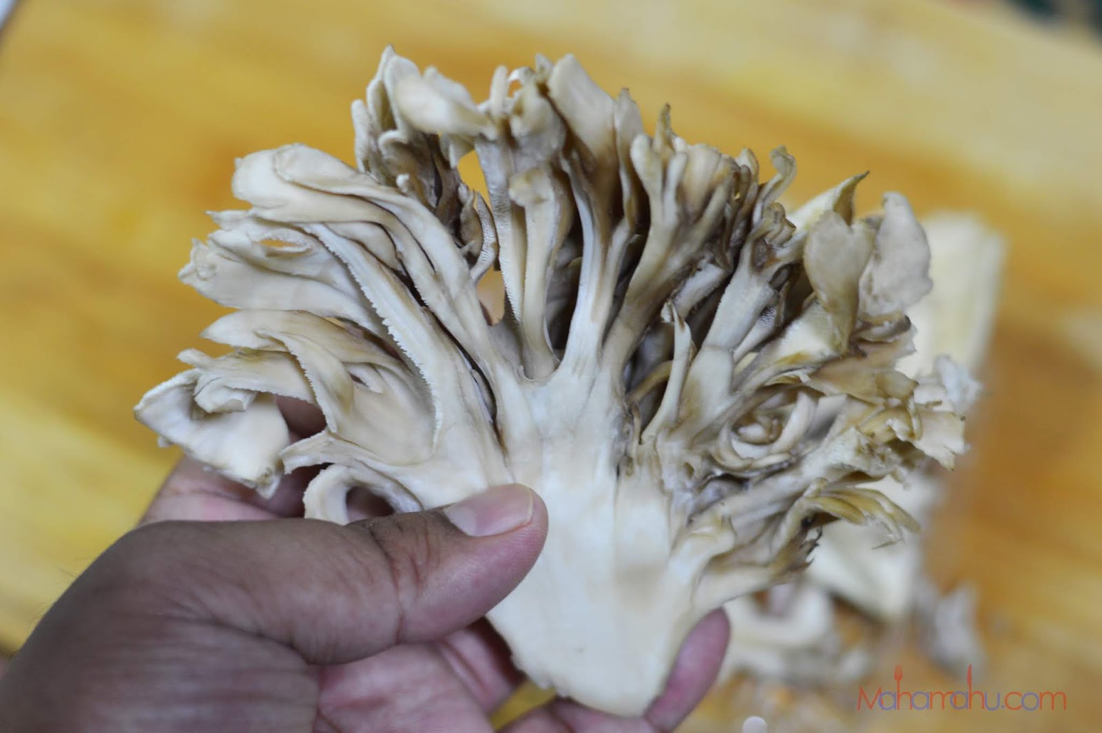 Resipi Maitake Goreng Bersama Pucuk Kacang Dan Telur Cendawan Istimewa