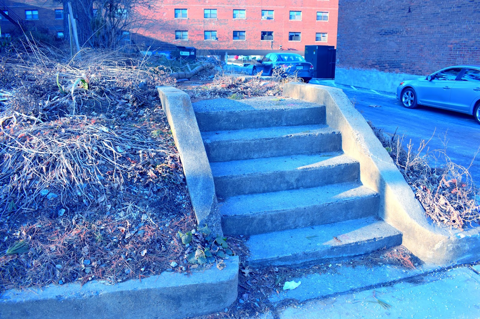 Digital Photography NVCC Spring 2019