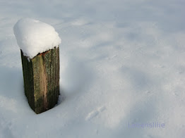 Holz im Schnee