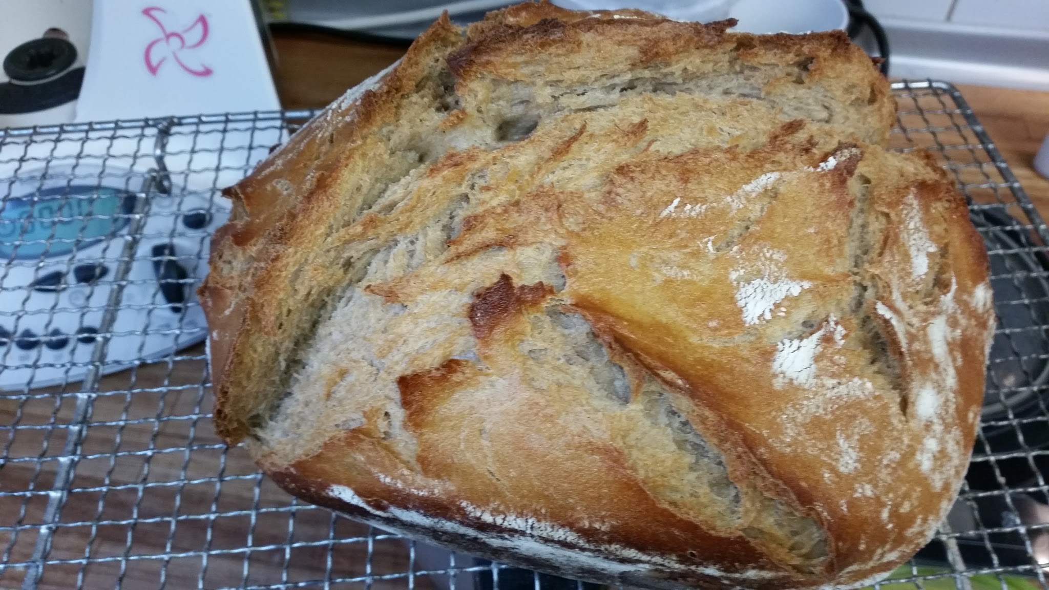 Vesper-Brot - mit Roggen- und Weizensauerteig 10 2016 03 02%2B15.46.52