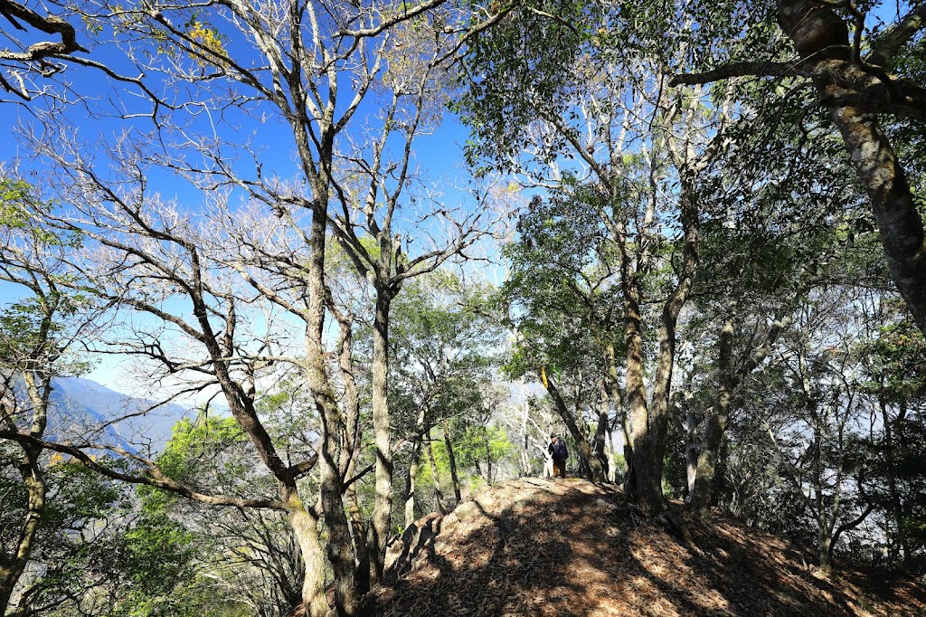 攀登拉夫朗山的稜線路
