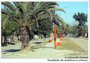 Avenida Eduardo Dumas