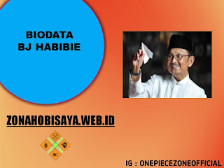 Profil Bj Habibie, Sang Ahli Pesawat Indonesia Yang Pernah Jadi Presiden