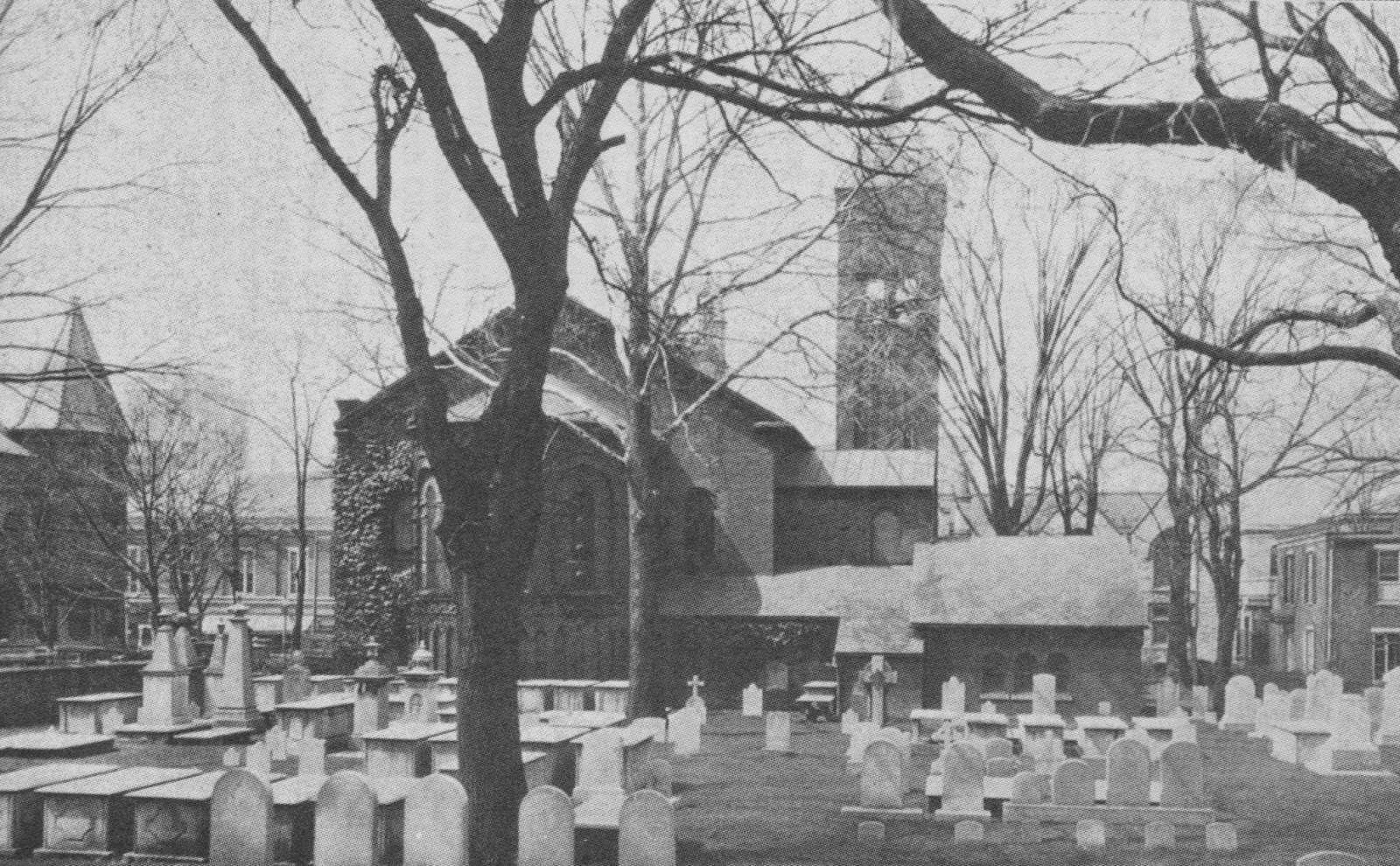 Extraordinary Stories From An Ordinary Guy The "The Story Of Cabbage Hill Dinah McIntire