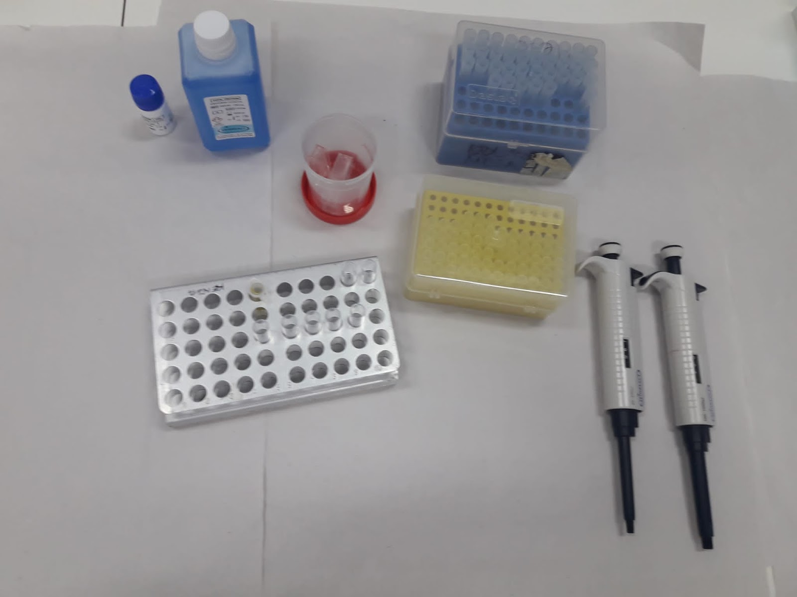 PRÁCTICA 9. DETERMINACIÓN DE PROTEÍNAS TOTALES POR EL MÉTODO DE BIURET PRÁCTICA 9. DETERMINACIÓN DE PROTEÍNAS TOTALES POR EL MÉTODO DE BIURET