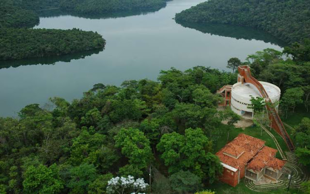 Febre Amarela: Bióloga relaciona surto em Minas com tragédia de Mariana