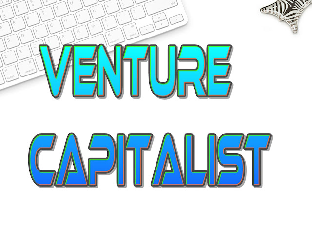 Venture Capitalist