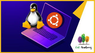 Linux Basics for Beginners