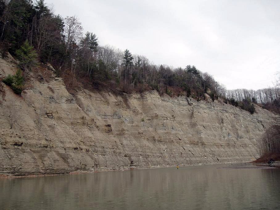 Traveling Angler Cattaraugus Creek
