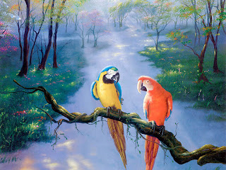 Beautiful Parrots Wallpapers