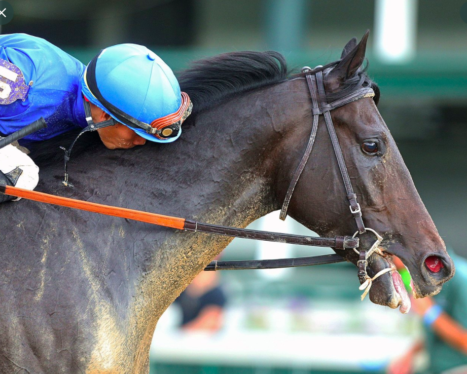 America Maxfield torna ed impressiona! Il Godolphin è in lizza per il