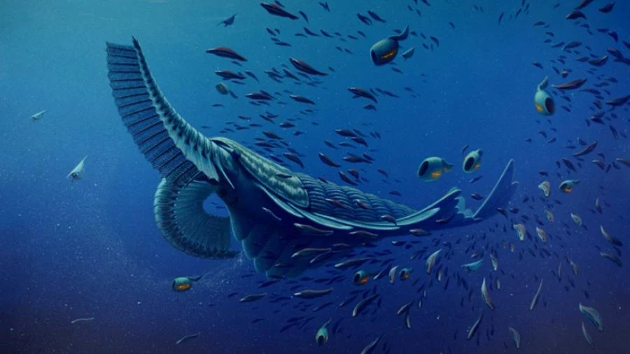 Ilustração da explosão Cambriana
