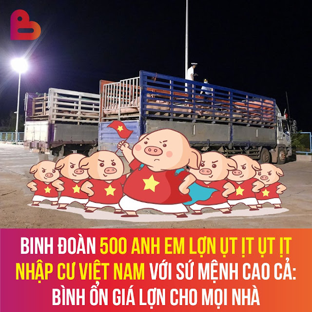 Chưa bao giờ lũ Lợn chúng tôi có tiếng nói đến thế