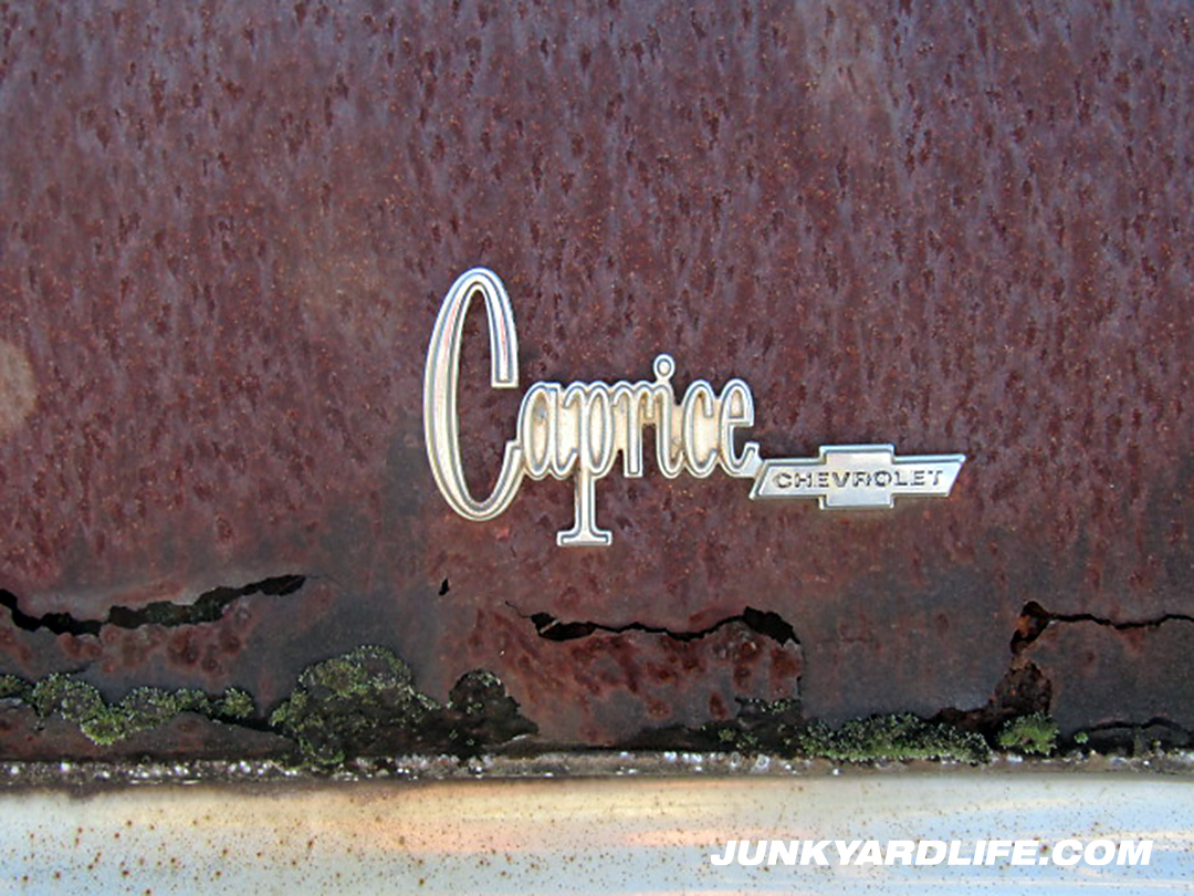 Junkyard Life Classic Cars Muscle Cars Barn Finds Hot