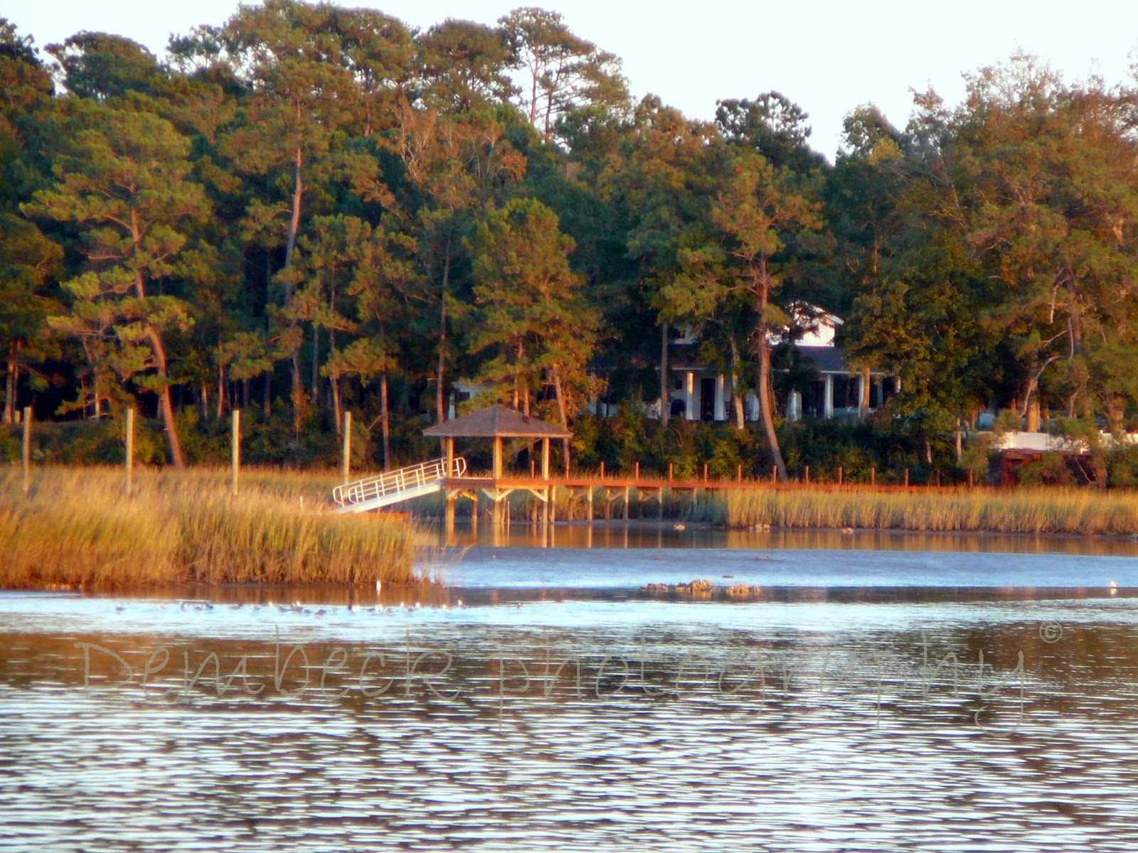 Third Age Traveler FRIDAY'S FOTOCOASTAL CALABASH, NORTH CAROLINA