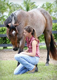 Plugged in Parents: Hippotherapy: A New Therapy for Autism