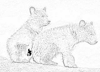 bear coloring pages holiday.filminspector.com