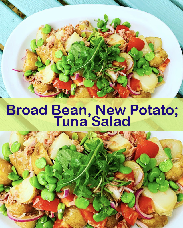 Broad Bean, New Potato; Tuna Salad