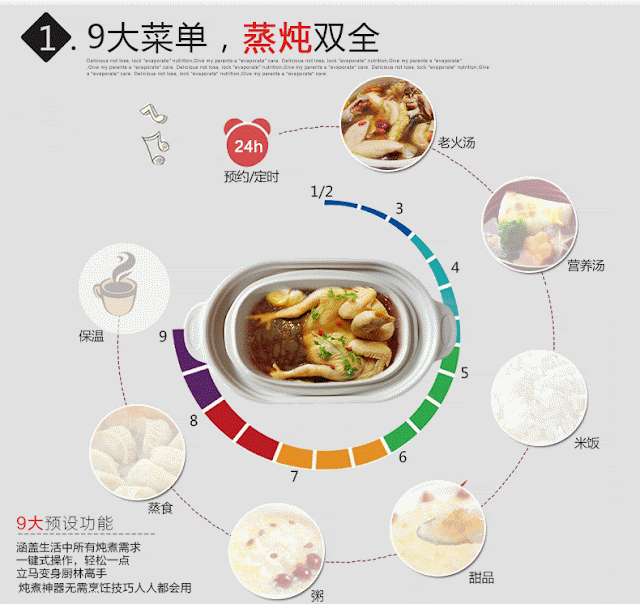 Price and Specification of Electric Slow Cooker 1.6L DDZ901