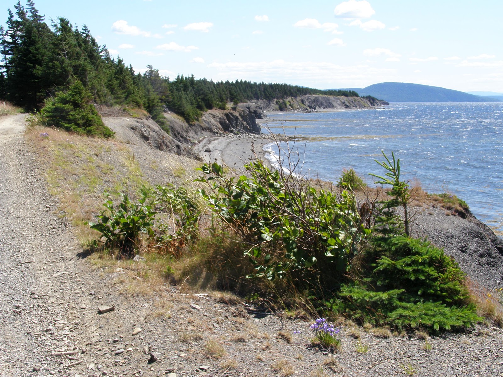 Northern Exposure 2012 Day 2 at Woods Island, Bay of Islands, Newfoundland