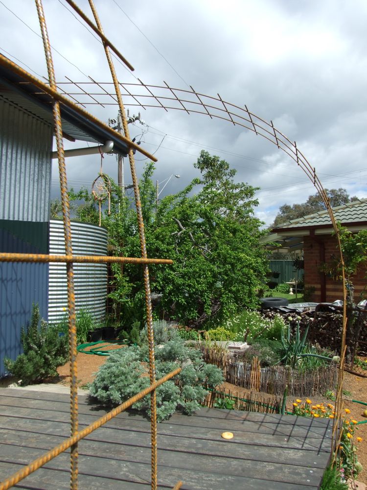 Curved reo used as trellis