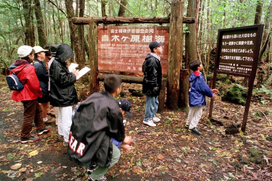 aokigahara-libro aokigahara-libro