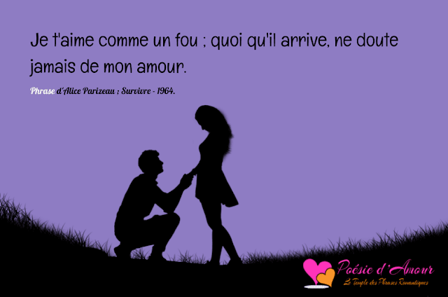 Phrase : Je T'Aime Comme Un Fou