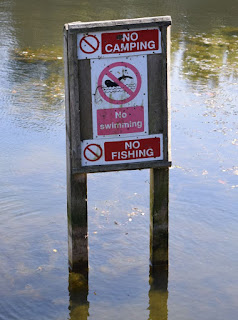 A sign sticking out of a pond saying No Fishing and No Camping