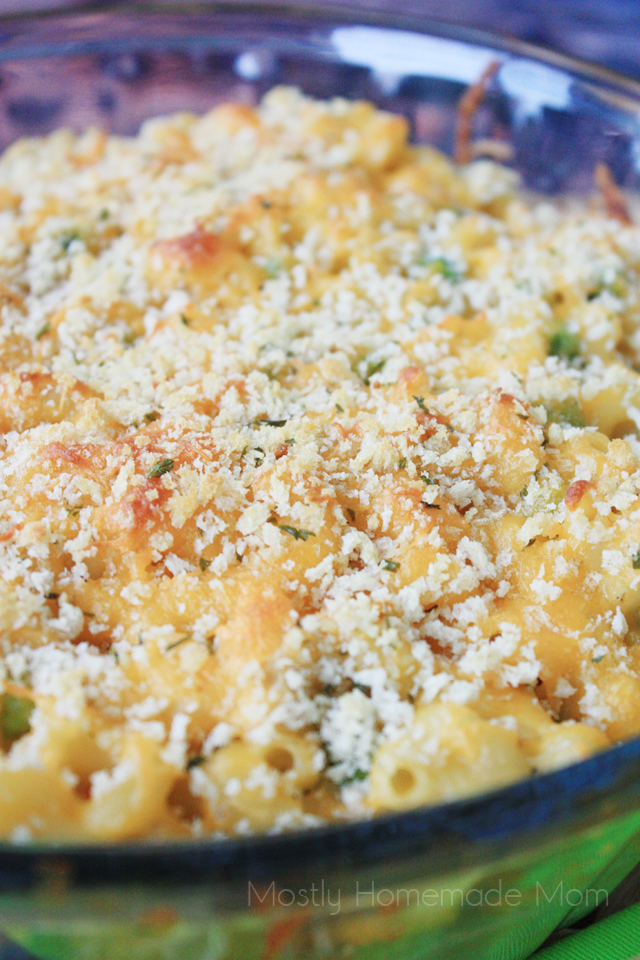 Chicken Cheese Casserole ide resep mudah untuk anda