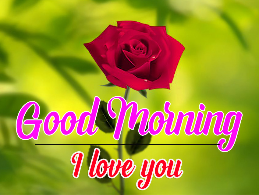 Amazing Good Morning Images HD Download | Good Morning Photo HD