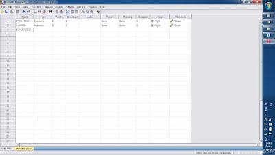SPSS Versi 17 rahfakui.blogspot.com SPSS Versi 17 rahfakui.blogspot.com