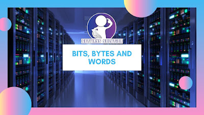 BITS, BYTES AND WORDS BITS, BYTES AND WORDS