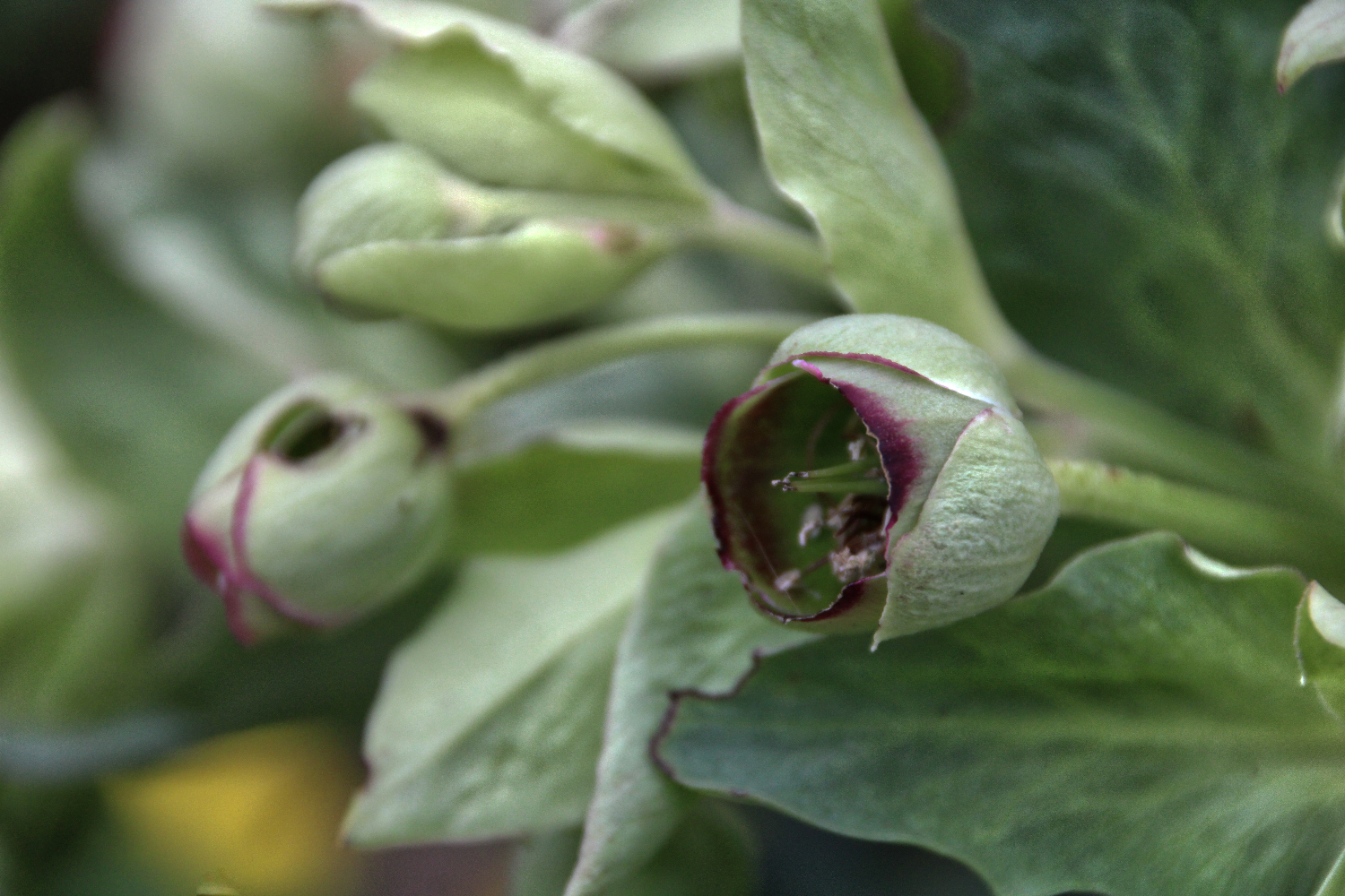 Das Beste Mittel Gegen Verdrossenheit Ist Es Sich Selbst Zu